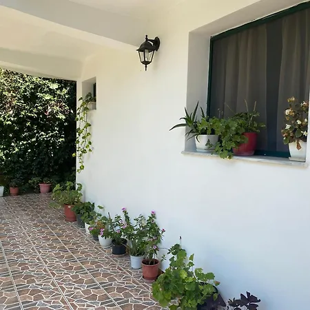 Your Seaside Home! Entire Place, Free Parking Appartement *